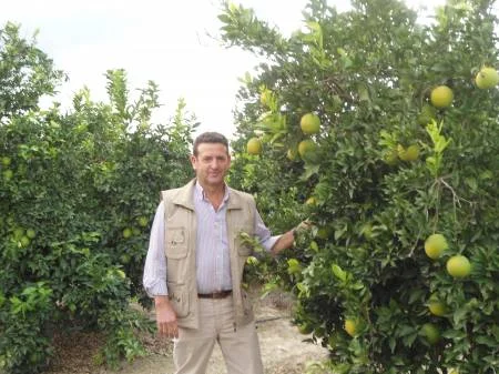 Naranjos cargados de fruta